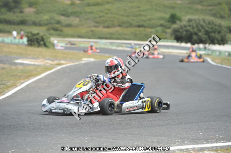 DSC (3447).JPG